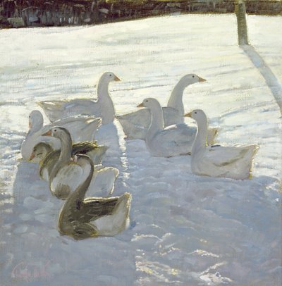 Geese Against the Light by Timothy Easton